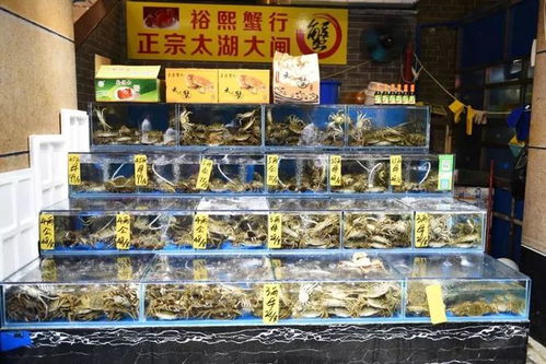 水產市場“慢搖”有方 魚美人打“上位”牌，珍寶水產如何做到物美價穩？\n踩著薩克斯的慵懶節奏，經營者有自己的經營慢哲學與數字監管快速響應器的平衡樂趣。這或許也正是這座城市獨一無二的‘慢火得臻味’